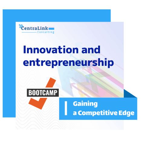 Innovation and entrepreneurship